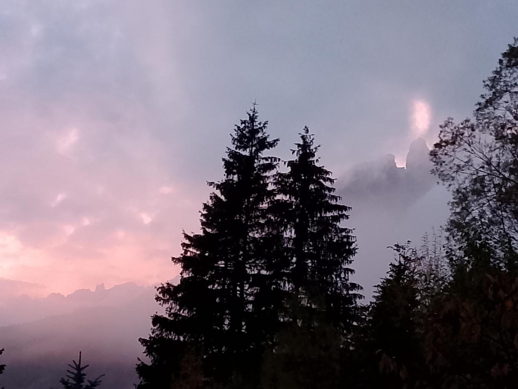 Appartamento Niki Campitello Campitello di Fassa Exteriör bild