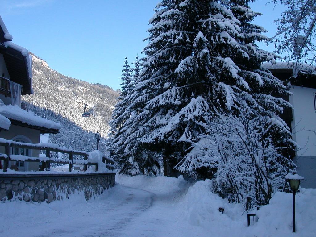 Appartamento Niki Campitello Campitello di Fassa Exteriör bild