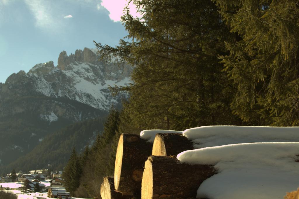 Appartamento Niki Campitello Campitello di Fassa Exteriör bild